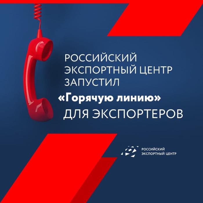«Горячая линия» для экспортеров